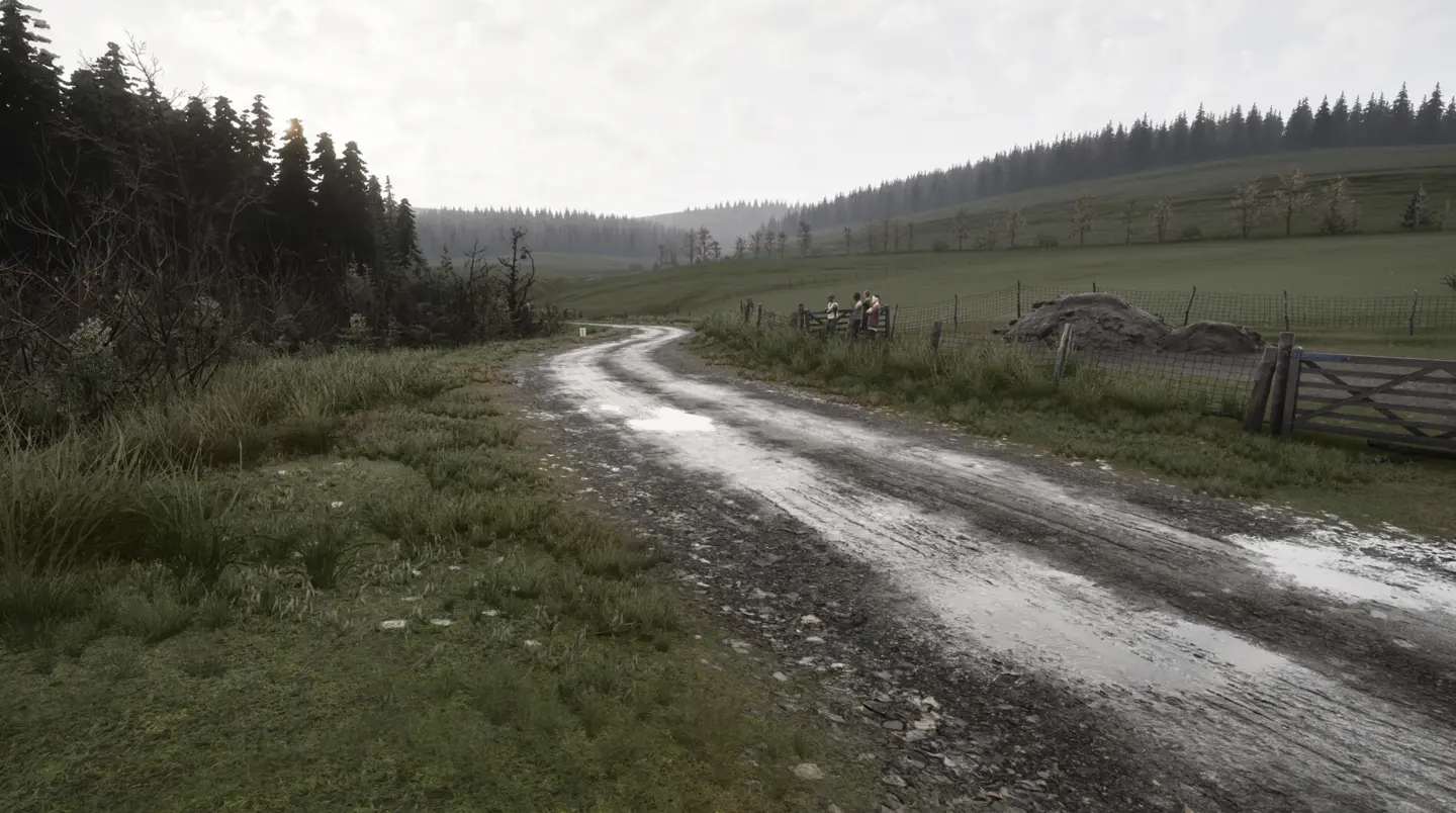 ed, 神力科莎, https